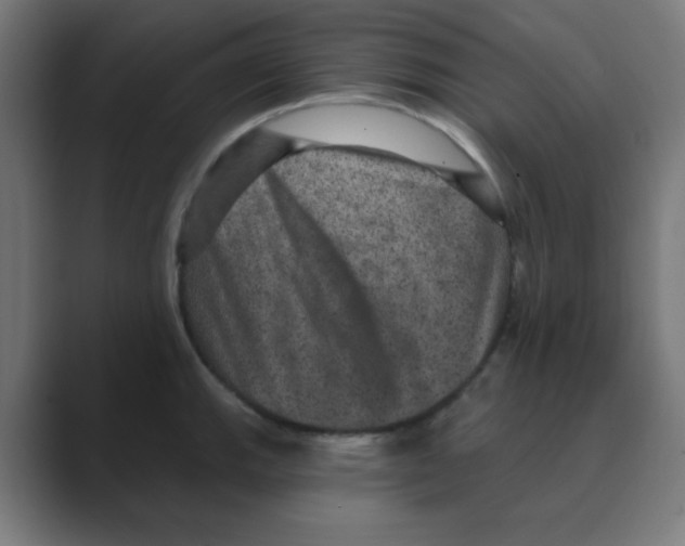 X0000088431143200706191229