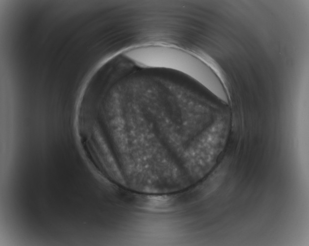 X0000088431144200706191229