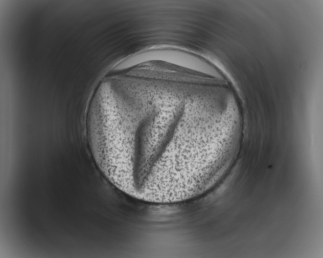 X0000088431145200706191229