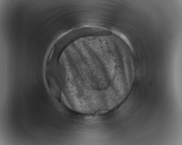 X0000088431146200706191229