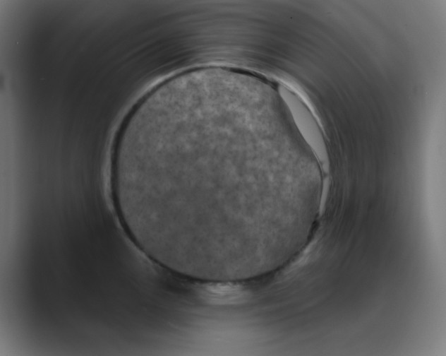 X0000088431147200706191229