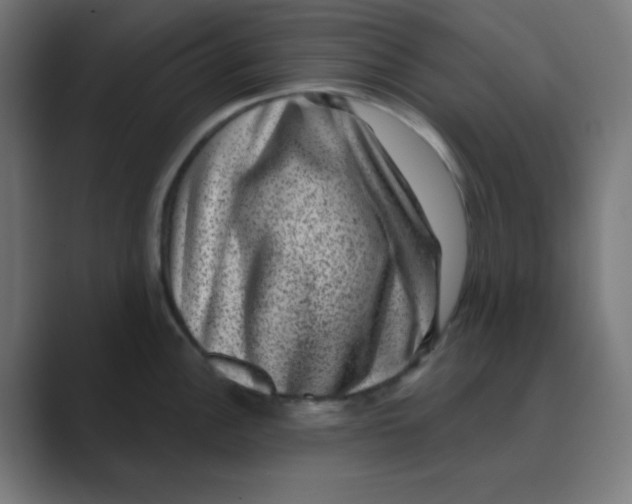 X0000088431148200706191229