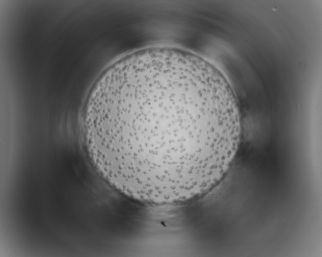 X0000088431150200706191229