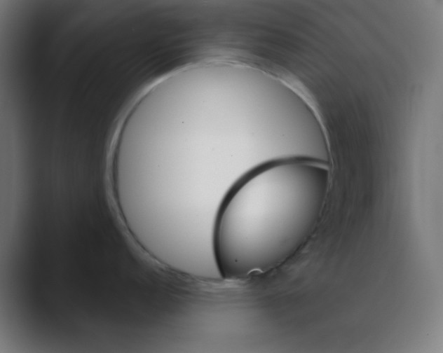 X0000088431152200706191229