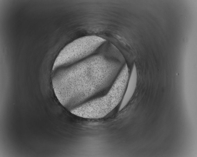 X0000088431153200706191229