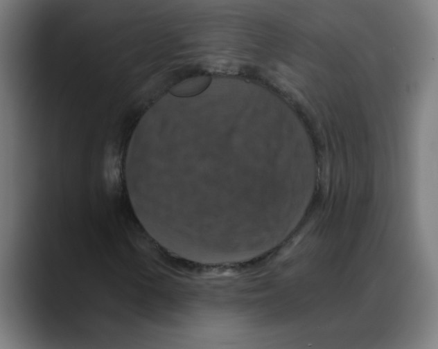 X0000088431154200706191229