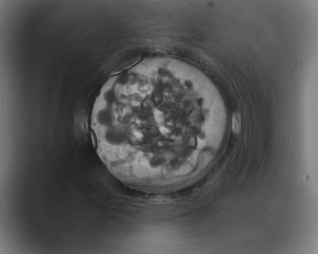 X0000088431155200706191229