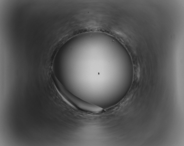 X0000088431157200706191229