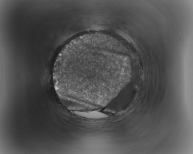X0000088431160200706191229