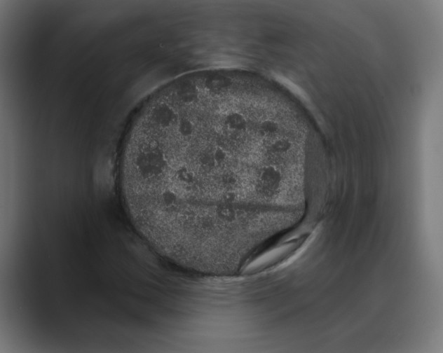 X0000088431163200706191229