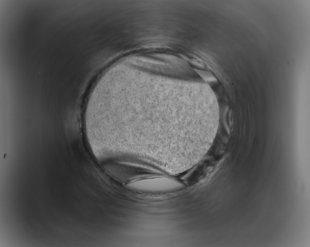 X0000088431164200706191229