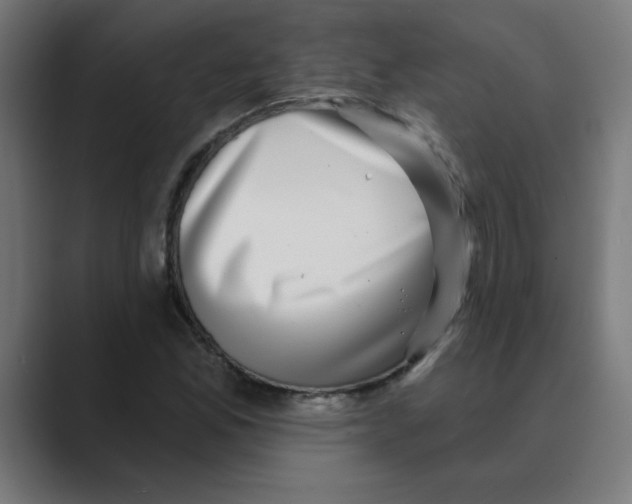 X0000088431165200706191229
