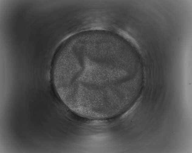 X0000088431166200706191229