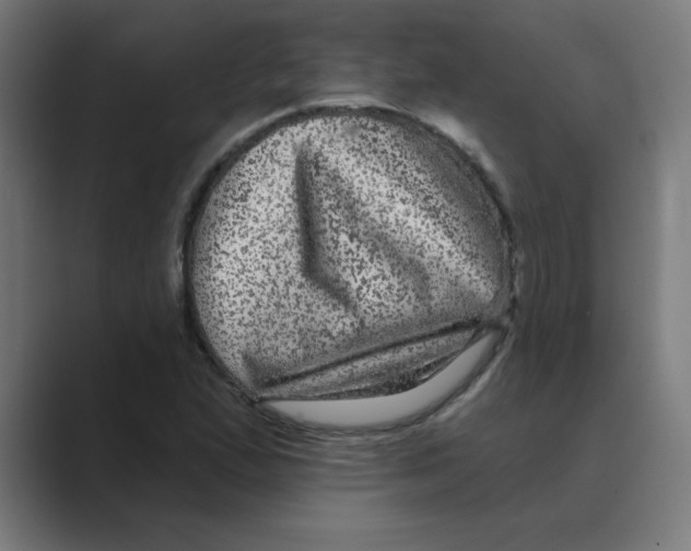 X0000088431167200706191229