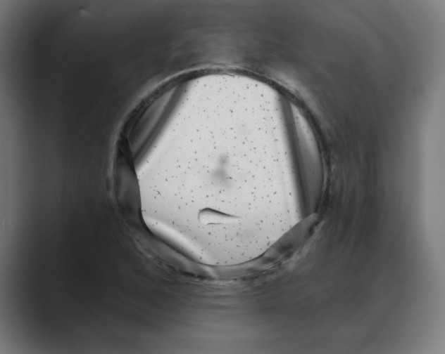 X0000088431168200706191229