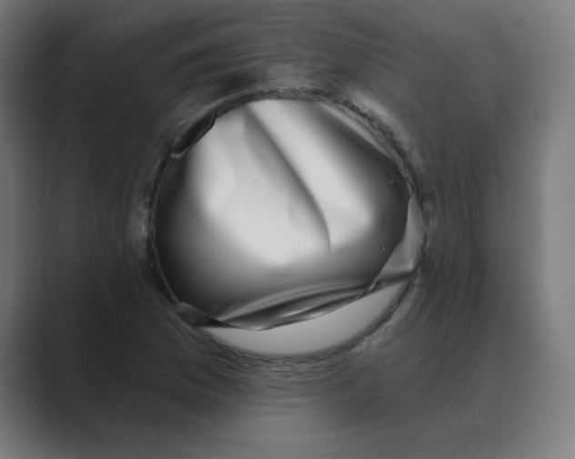 X0000088431169200706191229