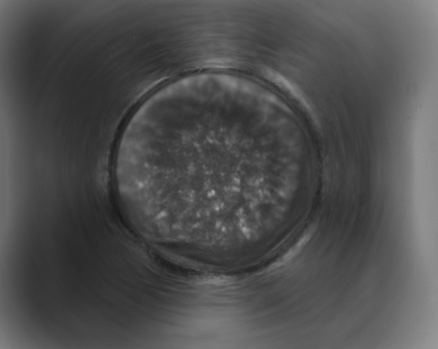 X0000088431170200706191229