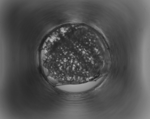 X0000088431171200706191229