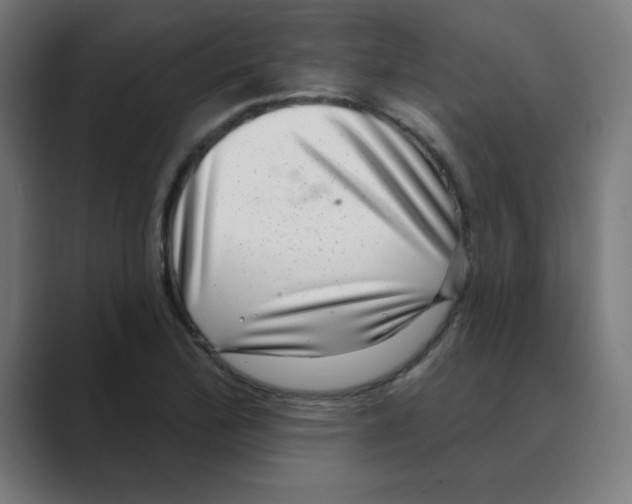 X0000088431172200706191229