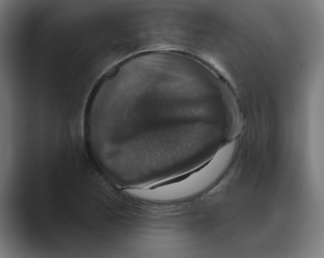 X0000088431173200706191229
