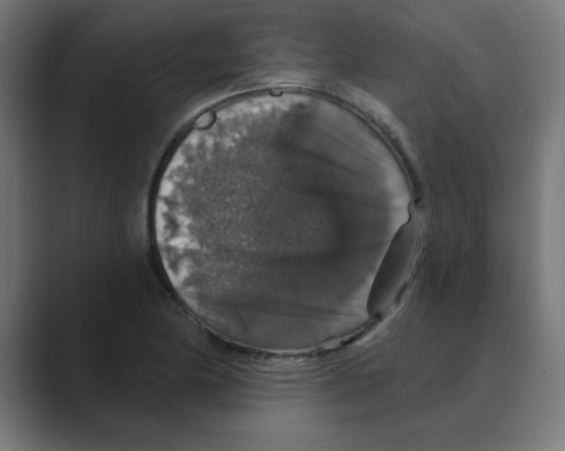 X0000088431174200706191229