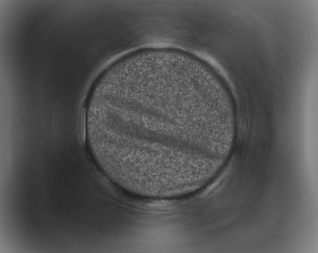 X0000088431175200706191229