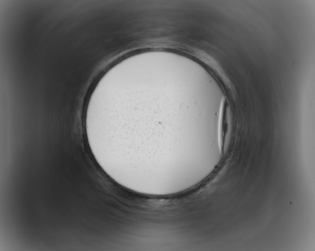 X0000088431176200706191229