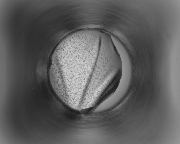 X0000088431177200706191228