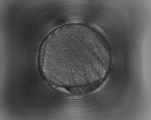 X0000088431178200706191228