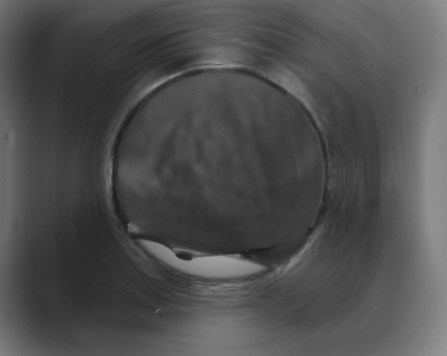 X0000088431179200706191228