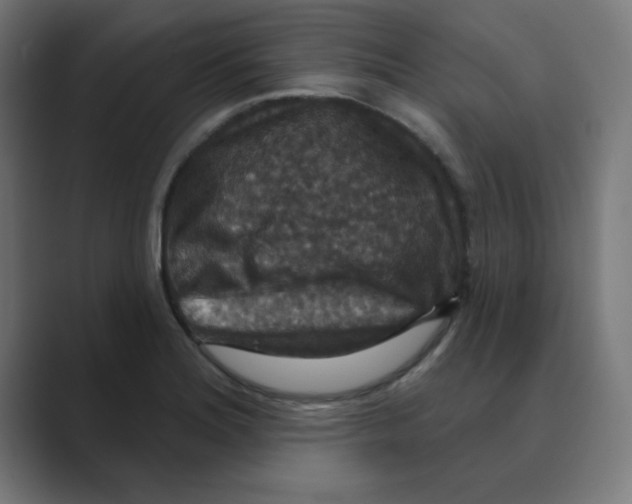 X0000088431180200706191228