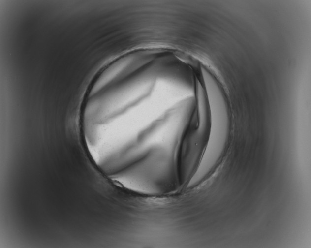 X0000088431181200706191228