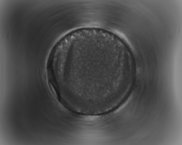 X0000088431184200706191228