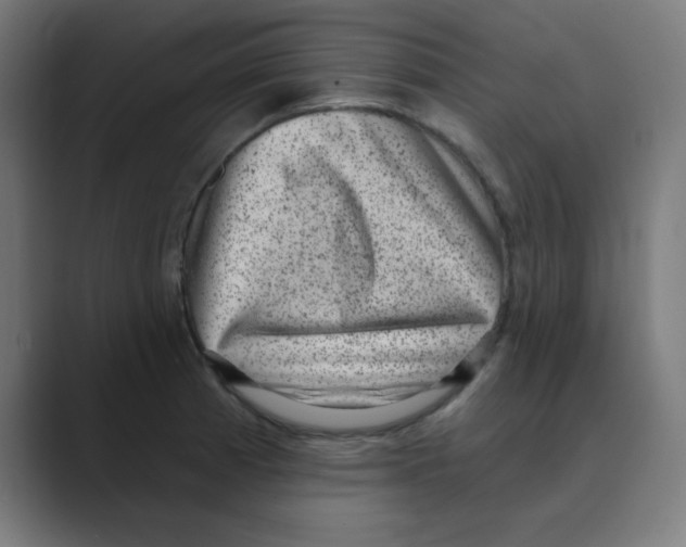 X0000088431185200706191228