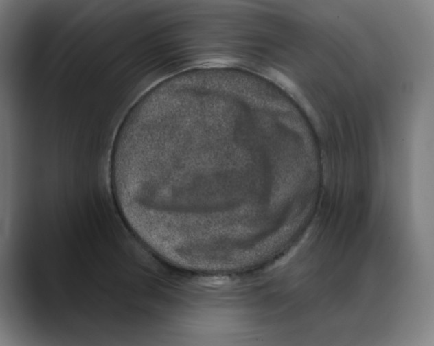 X0000088431186200706191228