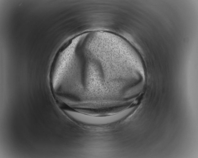 X0000088431189200706191228