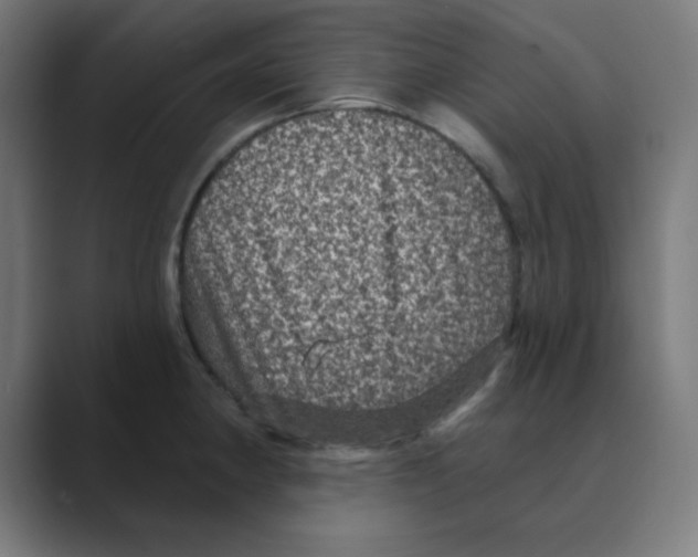 X0000088431190200706191228