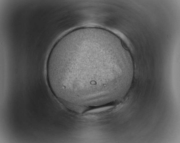 X0000088431191200706191228