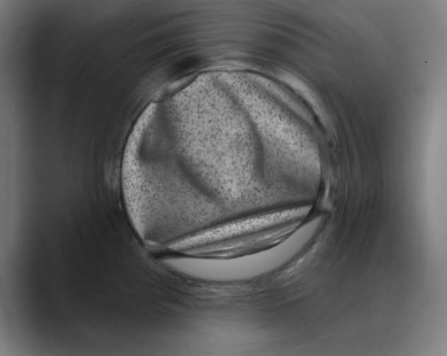 X0000088431193200706191228