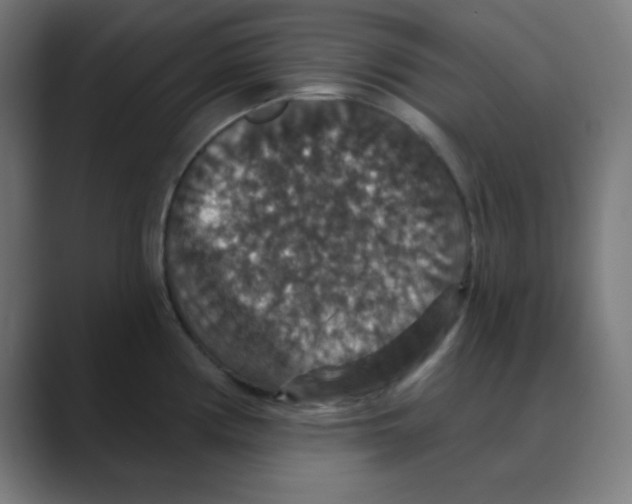X0000088431194200706191228