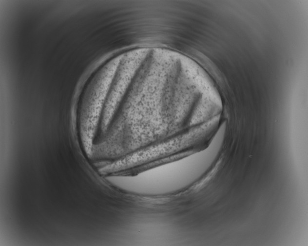 X0000088431196200706191228