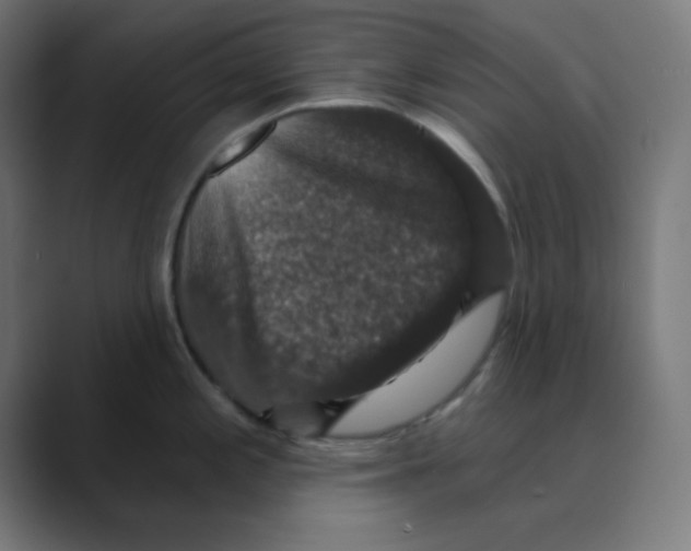 X0000088431197200706191228