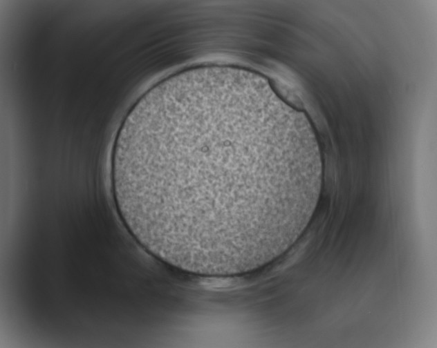 X0000088431199200706191228