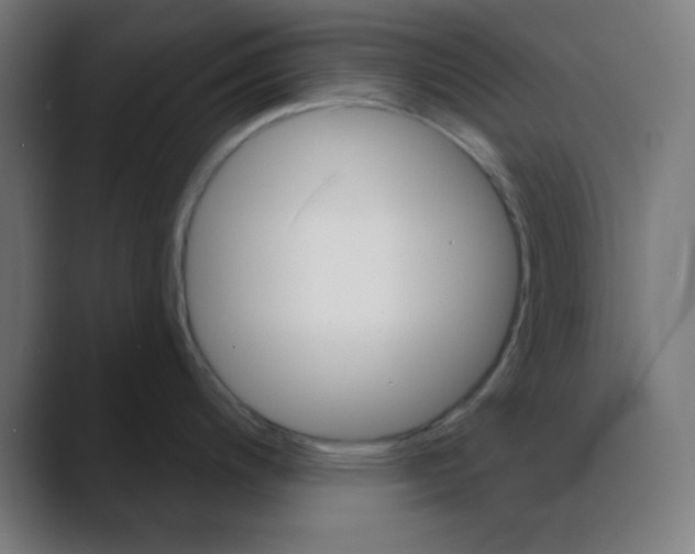 X0000088431200200706191228