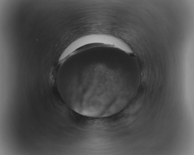X0000088431202200706191228