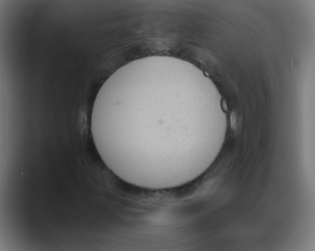 X0000088431203200706191228