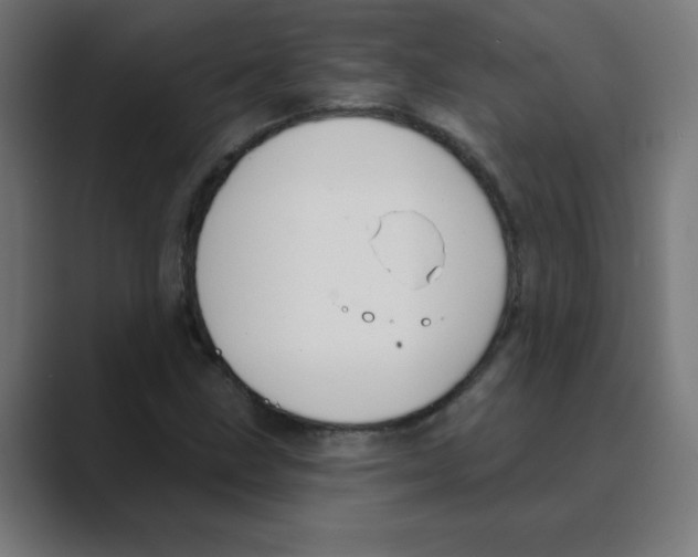X0000088431211200706191228