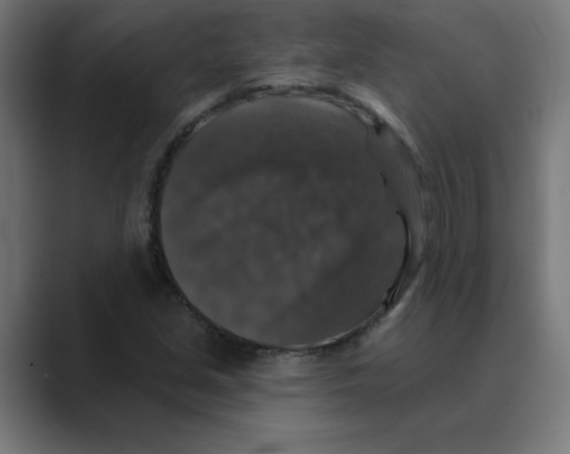 X0000088431213200706191228
