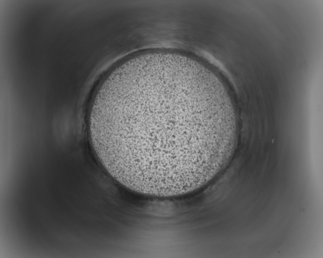 X0000088431215200706191228