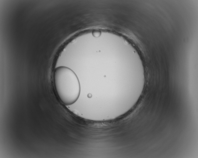 X0000088431216200706191228
